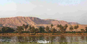 Nilufer