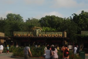 Animal Kingdom